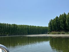 -微山湖红荷湿地景区
