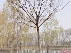 -东郊湿地公园