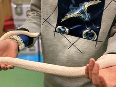 -藦茜花园宠物主题亲子互动体验馆(国顺东路店)