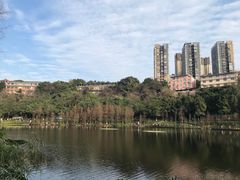 -重庆彩云湖湿地公园