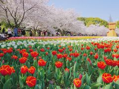 -苏州上方山国家森林公园