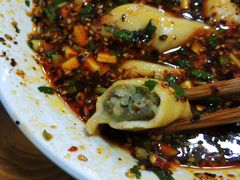 牛肉萝卜饺子-尤素福东举院饺子馆
