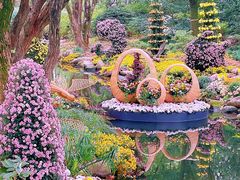 -上海共青森林公园