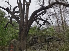 -北京密云天门山风景区