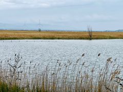 -野鸭湖国家湿地公园