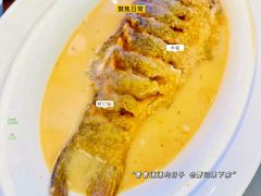 -阿庄新豫菜(航海东路店)