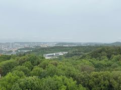 -富乐山