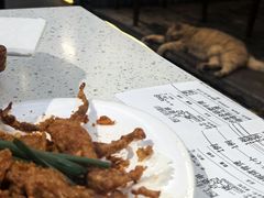 椒盐鸭舌-肥仔文澳门猪骨煲(南京西路店)