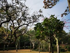 -晓港公园