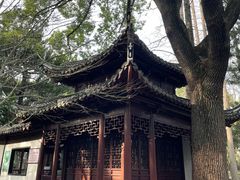 -汇龙潭