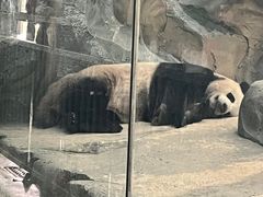-武汉动物园