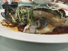 -万龙洲海鲜(大兴绿地缤纷城店)