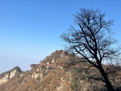 -少华山国家森林公园