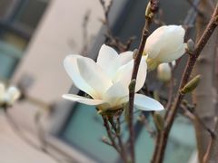 -晋丰大厦