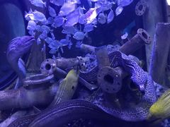 -成都浩海立方海洋公园