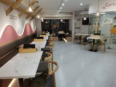 大堂-喵园·猫主题咖啡厅·撸猫·猫咖(国贸店)