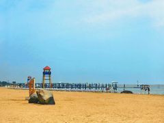 -碧海金沙