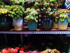 -三旗百汇商品城