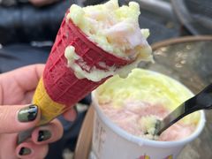 -柠檬车露(卖草地店)