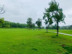 -宜兴龙背山森林公园