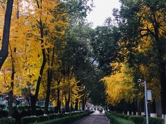 -四川大学(华西校区)