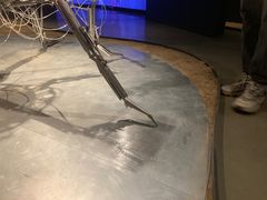 -现代汽车文化中心 Hyundai Motorstudio Beijing