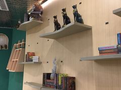 -飞行喵MR PILOT|猫舍·猫咖(静安大融城店)
