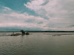 -哈素海