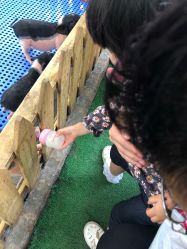 -萌宠亲子动物乐园(槐房万达店)