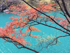 -叠溪松坪沟景区
