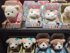 -酷乐潮玩(五道口购物中心店)