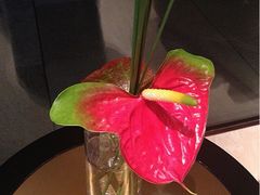 iphone_upload_pic-上海衡山路十二号华邑酒店