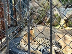 -大连森林动物园