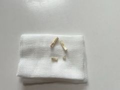 -北京观赏动物医院·24小时大型综合·猫专科·异宠专科