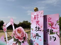 -太阳宫公园