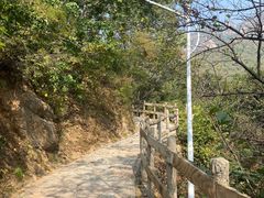 -大岭沟猕猴桃谷风景区