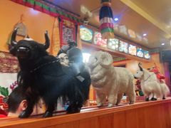 -如意林卡藏餐吧(大昭寺店)