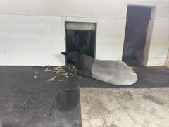 -合肥野生动物园