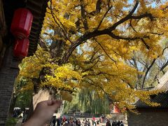 -太原武宿国际机场