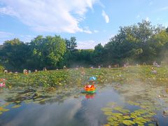 -白马涧龙池景区