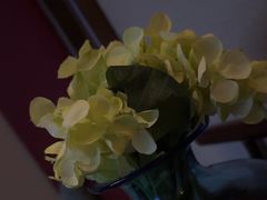 -唐宫足道·SPA·影院会馆(木渎店)