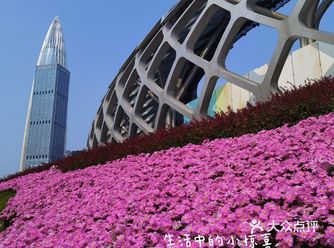 春天来了,踏青赏花养肝最当季