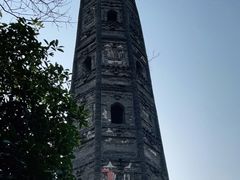 -上海佘山国家森林公园天马山园