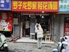 -罗子龙罗家桂花汤圆(曹都巷店)