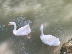-兰亭风景区