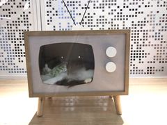 -BABIT巴比特宠物(MOMOPARK店)