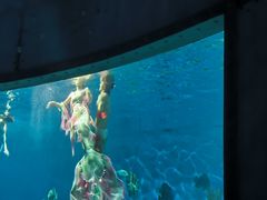 -海合安武汉极地海洋公园