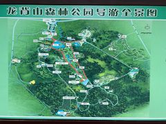 -宜兴龙背山森林公园