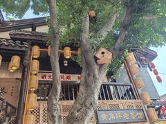 -胖娃古镇鸡杂(磁器口总店)