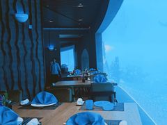 -海棠湾洲际-涛·海底餐厅·美人鱼·自助餐·海底隧道